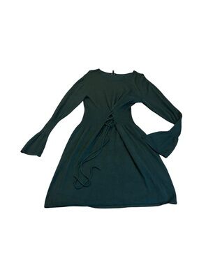 EXPRESS green sweater dress